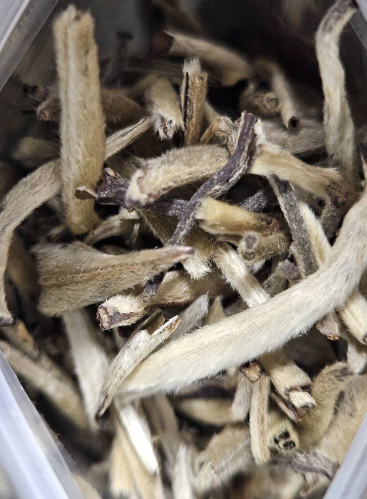 Jasmine Silver Needle Tea
